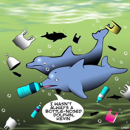 "I wasn't always a bottled-nosed Dolphin, Kevin."