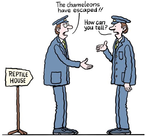 "The chameleons have escaped!!"