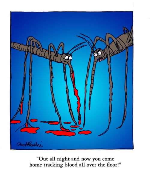 "Out all night and now you come home tracking blood all over the floor!"
