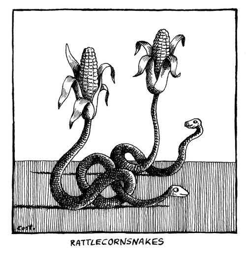 Rattlecornsnake