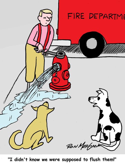 "I didn't know we were supposed to flush them!"