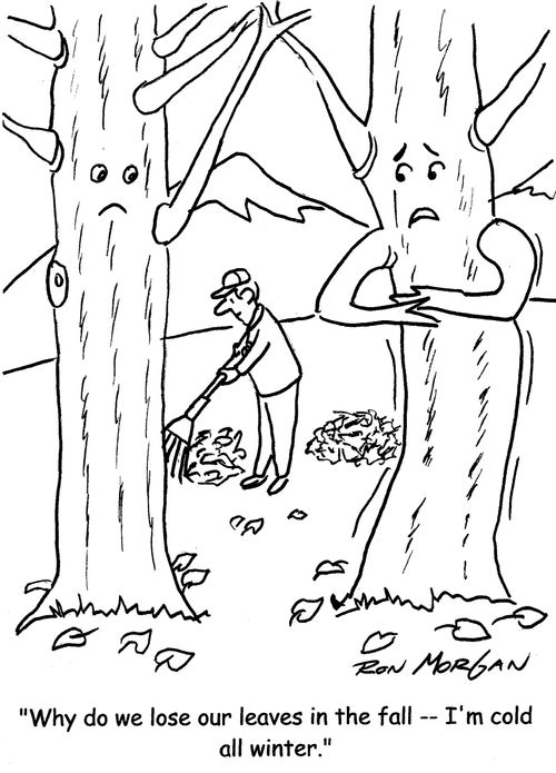 "Why do we lose our leaves in the fall - I'm cold all winter."