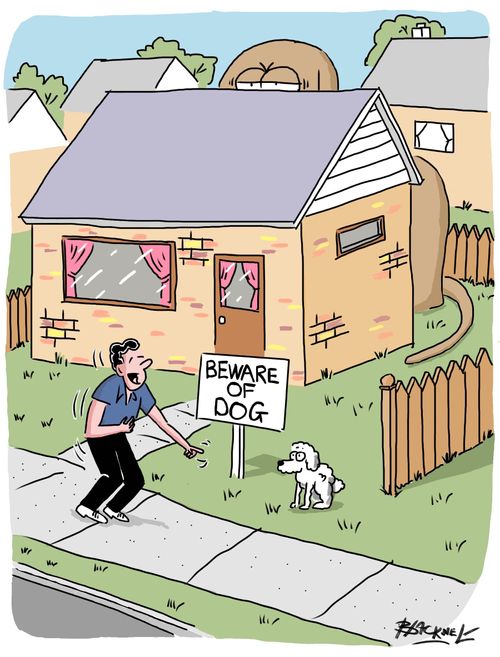 Beware the Dog