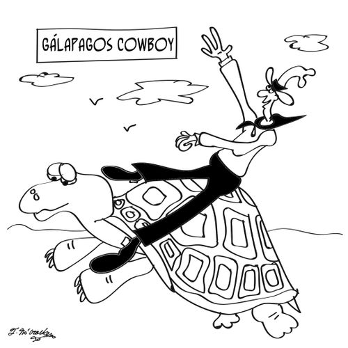 Galápagos Cowboy