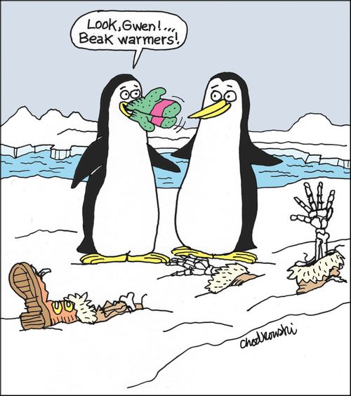 Beak Warmers