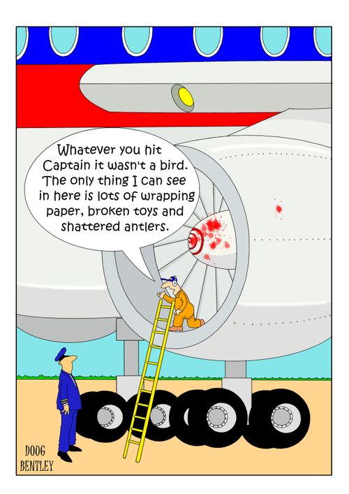 "Whatever you hit Captain it wasn't a bird. The only thing I can see in here is lot s of wrapping paper, broken toys and shattered antlers."