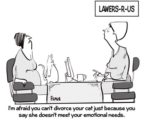 "I'm afraid you can't divorce your cat just because you say she doesn't meet your emotional needs."