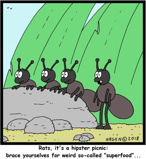 "Rats, it's a hipster picnic: brace yourselves for weird so-called "superfood"..."