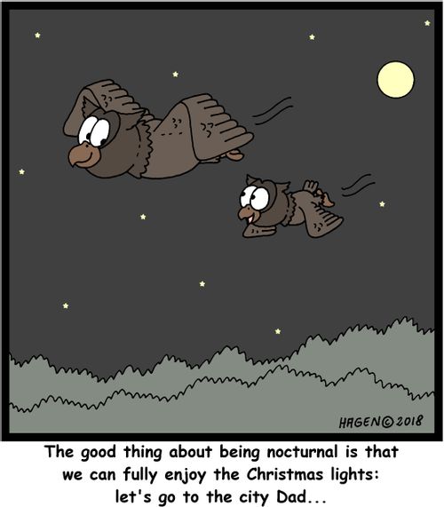 "The good thing about being nocturnal is that we can fully enjoy the Christmas lights: let's go to the city Dad..."