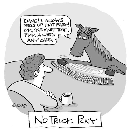 No Trick Pony