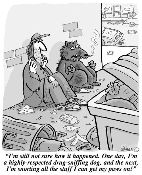 "I'm still not sure how it happened. One day, I'm a highly respected drug-sniffing dog, and the next, I'm snorting all the stuff I can get my paws on!"
