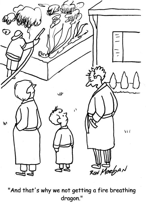 "And that's why we're not getting a fire breathing dragon."