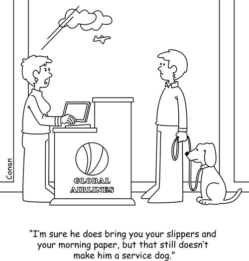 "I'm sure he does bring you your slippers and your morning paper, but that still doesn't make him a service dog."