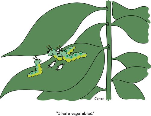 "I hate vegetables."