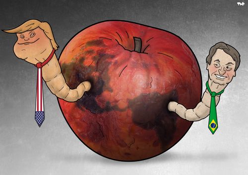 Bolsonaro and Trump