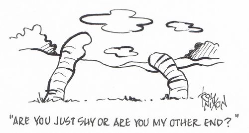 "Are you just shy or are you my other end?"