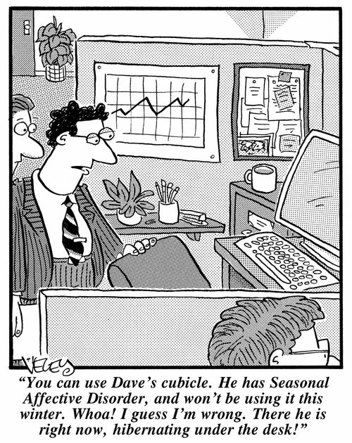 "You can use Dave's cubicle. He has Seasonal Affective Disorder and won't be using it this winter. Whoa! I guess I'm wrong. There he is, hibernating under the desk!"