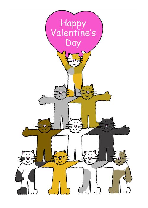 Valentines Day Cats