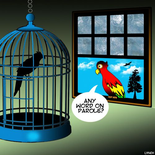 "Any word on parole?"