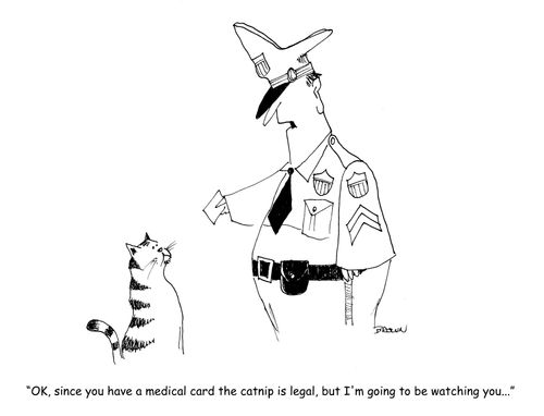 "OK, since you have a medical card the cat nip is legal, but I'm going to be watching you." 