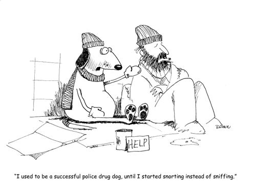"I used to be a successful police drug dog, until I started snorting instead of sniffing." 
