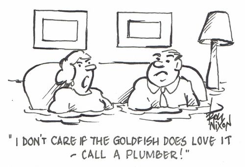 "I don't care if the goldfish does love it - call a plumber!"