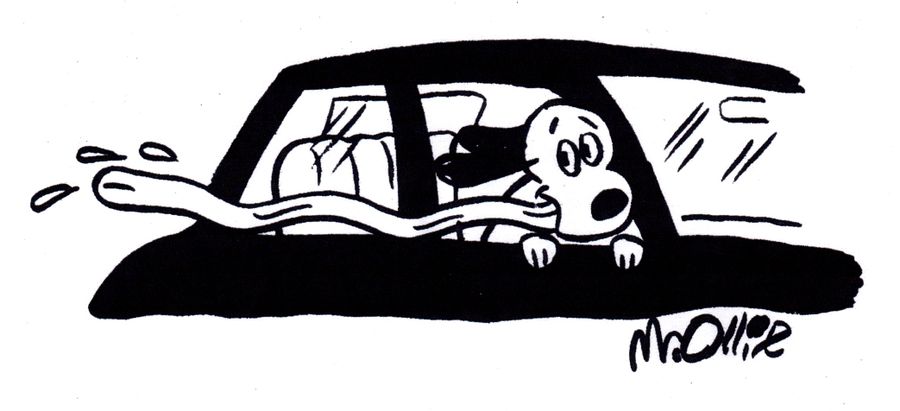 Dog with long tongue out car window.
