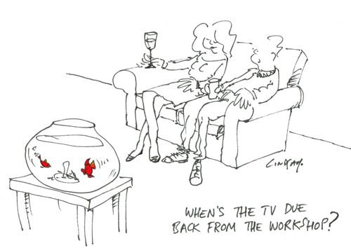 "When's the TV due back from the workshop?"