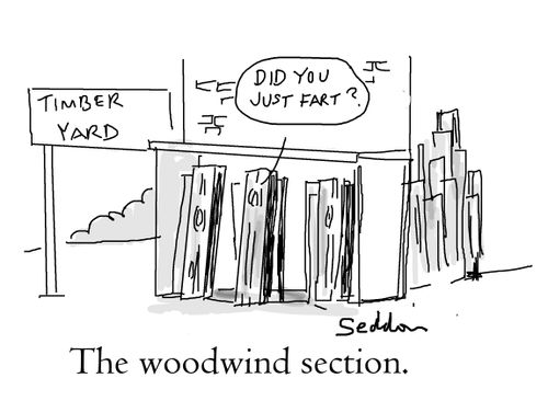 The woodwind section
