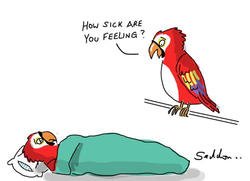 "How sick are you feeling?"