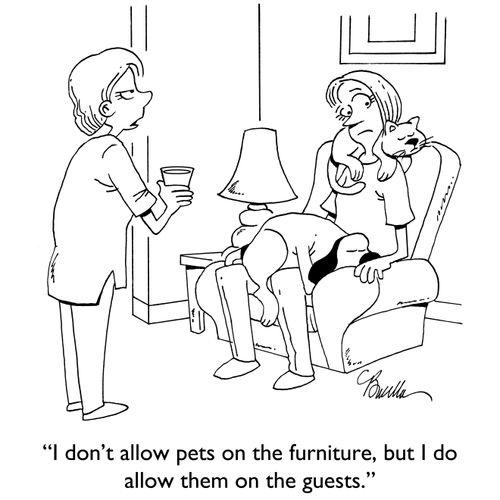"I don't allow pets on the furniture, but I do allow them on the guests."