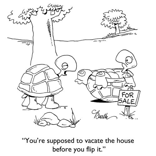 "You're supposd to vacate the house before you flip it."