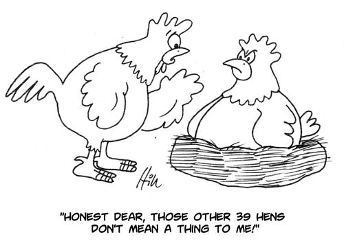 "Honest dear, those other 39 hens don't mean a thing to me!"