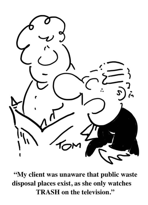 "My client was unaware that public waste disposal places exist, as she only watches TRASH on the television."