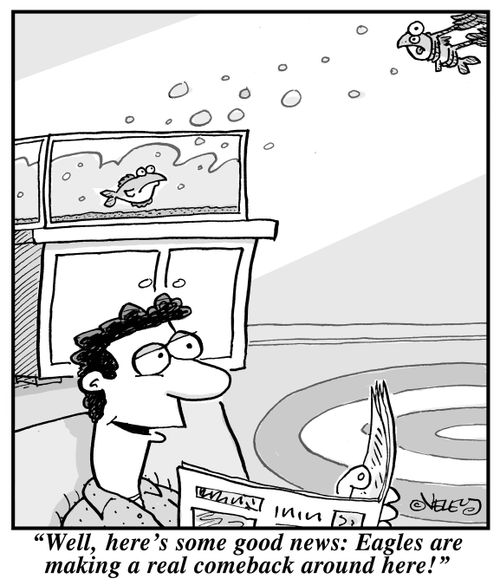 "Well, here's some good news: Eagles are making a real comeback around here!"