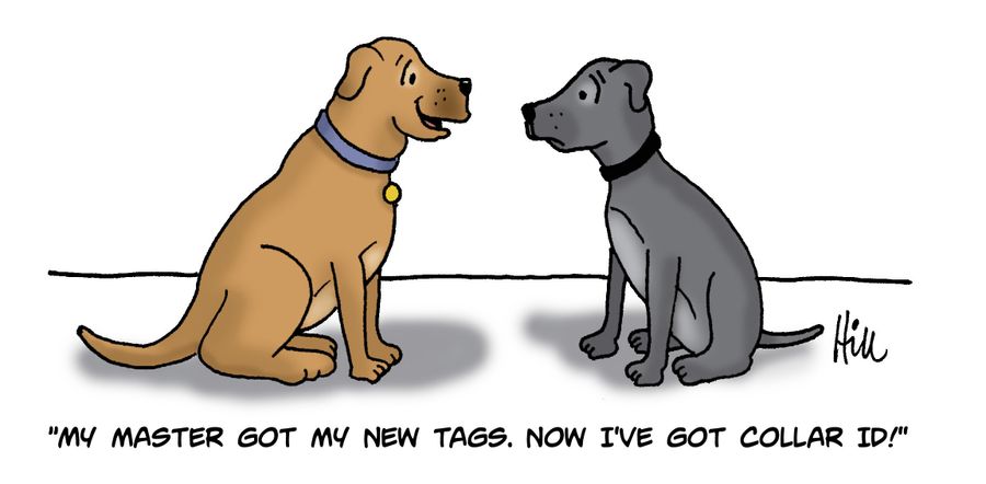 "My master got my new tags. Now I've got collar ID!"