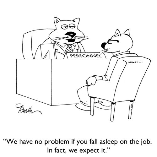 "We have no problem if you fall asleep on the job. In fact, we expect it."