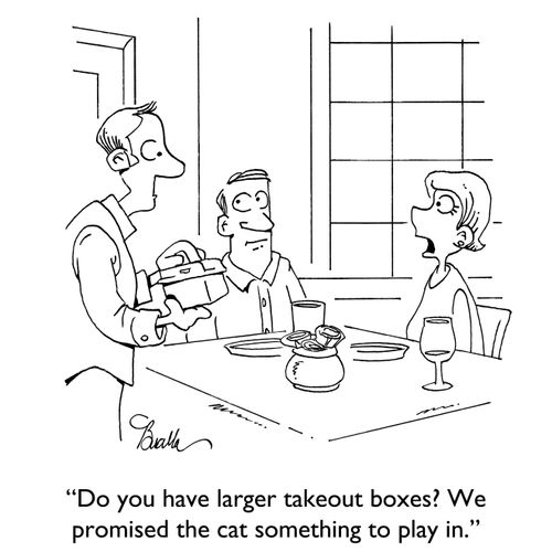 "Do you have larger takeout boxes? We promised the cat something to play in."