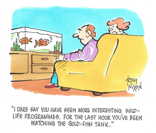 "I dare say you have seen more interesting wildlife programmes. For the last hour you've been watching the gold-fish tank." 