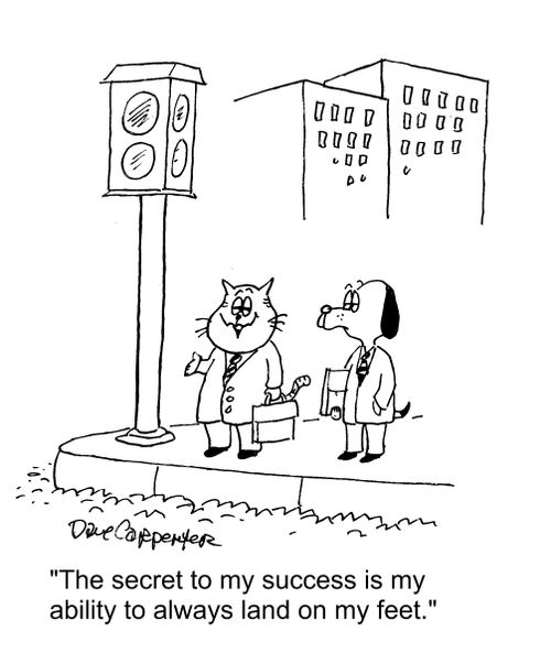 "The secret to my success is my ability to always land on my feet."