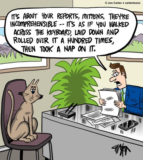 'It's about your reports, Mittens. They're incomprehensible -- It's as if you walked across the keyboard, laid down and rolled over it a hundred times, then took a nap on it.'