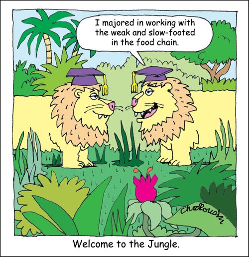 Welcome to the Jungle