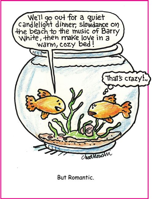 "We'll go out for a quiet candlelight dinner, slowdance on the beach to the music of Barry White, then make love in a warm, cozy bed!"