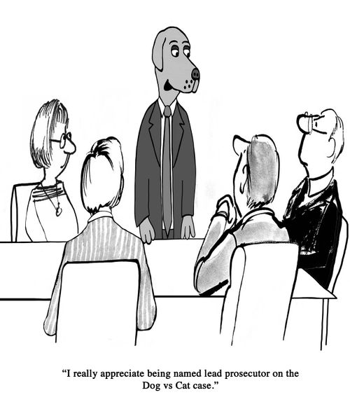 "I really appreciate being named lead prosecutor on the Dog vs Cat case."