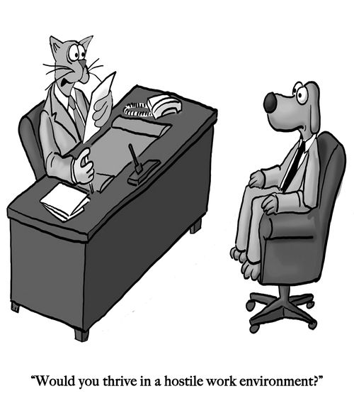 "Would you thrive in a hostile work environment?"