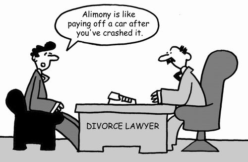 "Alimony is like paying off a car after you've crashed it."