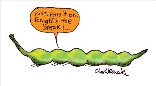 "Psst. Pass it on. Tonight's the break!..."