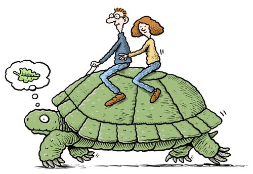 A couple riding a large tortoise