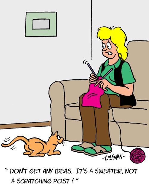 "Don't get any ideas. It's a sweater, not a scratching post!"