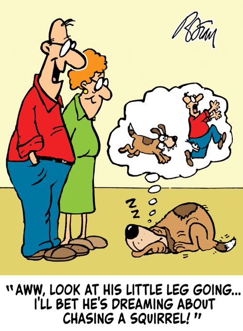 "Aww, look at his little leg going...I'll bet he's dreaming about chasing a squirrel!"